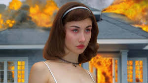 Los Angeles wildfires ...