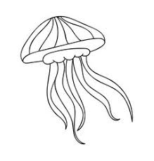 We did not find results for: Jelly Fish Outline Vector Images Over 590