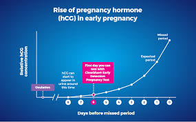 In this case, ovulation will occur on the 14 th day. When Can I Take A Pregnancy Test Calculate When To Test Clearblue