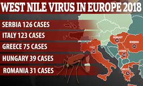 In response to the 1996 west nile (wn) fever epidemic that occurred in bucharest and southeastern romania, a surveillance program was established. West Nile Virus Kills 22 In Europe Daily Mail Online
