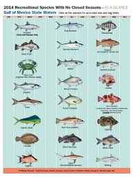 2014 Recreational Species With No Closed Seasons Fishing