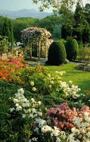 Clematis Montana On Arch And Azaleas The Spring Garden Dream Garden Beautiful Gardens Gorgeous Gardens