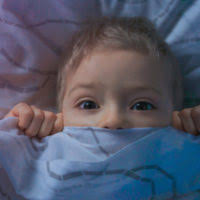 Eigenes Tiny House für Kinder? Keine gute Idee, sagen Experten