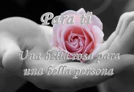 Para Ti Una Bella Rosa Para Una Bella Persona Rose In Hand Rose Rose Rise