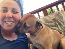 Come Sit Stay Pet & Plant Care