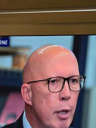 Does the Voynich manuscript contain the word 'turd'?