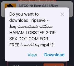 Is forex trading halal or haram fatwa stock market by. Why Is Lobster Haram