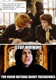 Funny Harry Potter Snape Meme Harry Potter Jokes Harry Potter Tumblr Harry Potter Puns