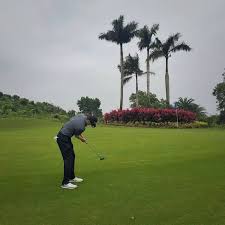 Những gợi ý cách chọn gậy putter cho người mới chơi golf
