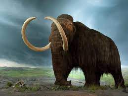 Find over 100+ of the best free extinct animal images. These Are The Extinct Animals We Can And Should Resurrect Science Smithsonian Magazine