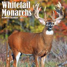 Whitetail Monarch Deer 2022 Wall Calendar Willow Creek Press 9781549220128 Amazon Com Books