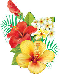 Resultats De Recherche D Images Pour Fleur D Hibiscus Hawaiian Flower Drawing Flower Drawing Flower Art