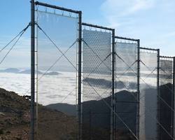 Image of Fog harvesting system