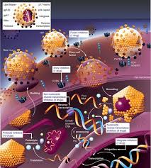 Image result for Integrase Strand Transfer Inhibitor
