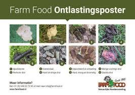 Een sterk ontstoken dikke darm. Help Wat Zegt De Ontlasting Over De Gezondheid Van Mijn Hond Farm Food