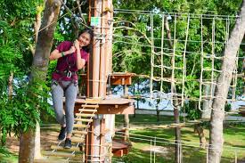Alsunga forest adventure is a point and click escape game from escape fan. Up To 15 Off Zipline Experience In Forest Adventure Klook Singapore