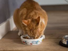 Meanwhile, wheat litters can be too dusty. Urinary Ph Impact On Your Cat S Health