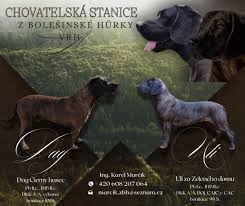 Image result for hannoverský barvář