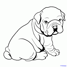 Pin By Sara On Fofos Bulldog Drawing Dog Coloring Page Animal Drawings