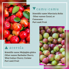 Naming an exotic pet can be difficult. No More Intense Fatigue And All The Consequences Of Vitamin C Deficiency Your Vitality Store