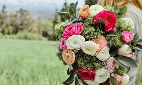Our products include roses, petals, hydrangeas, callas, lilies, eucalyptus, garlands, mums, carnations, baby's breath, peonies, anemones, hardgoods +more! The Bouqs Co In Dayton Groupon