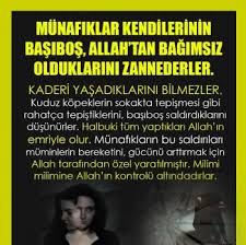 Munafiklar Kendilerinin Basibos Allah Tan Bagimsiz Olduklarini Zannederler Kaderi Yasadiklarini Bilmezler Kuduz Kopeklerin Sokak Goruntuler Ile Kader Allah Rahat