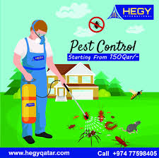 Pest control & disinfection services, doha qatar. 8 Pest Control Service In Doha Qatar Ideas Pest Control Services Pest Control Pests