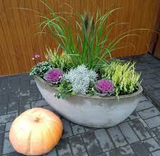 Herbstliche Bepflanzung Mit Heide Alpenveilchen Gras Ein Kurbis Rundet Das Bild Ab Bepflanzung Alpenveilchen Herbstbepflanzung