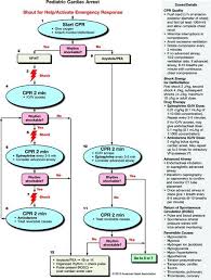 Pals Algorithm Cardiac Arrest Pulseless Arrest Acls Acls Algorithm Emergency Nursing