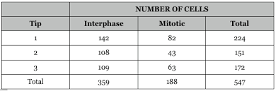 Mitosis versus meiosis worksheet answer key. Effects Of Environment On Mitosis Alexis Muchtar S Ap Biology Labs
