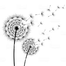 4.5 out of 5 stars. Two Beautiful Stylized Black Flowers Dandelions And Flying Fluff On Black Flowers Dandelion Flowers
