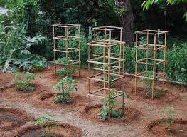 This is the ultimate guide to build tomato cages that are the perfect size, shape, and inexpensive design for growing big, healthy tomato plants. 10 Cheap And Easy Diy Tomato Cages Gardeners Magazine