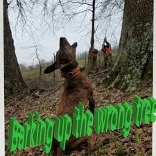 This is really only used in a jocular fashion, mimicking it predecessor, and it means that you are on the right track. Stream Barking Up The Wrong Tree By Dom Listen Online For Free On Soundcloud