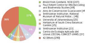 Image result for Cyperus chersinus