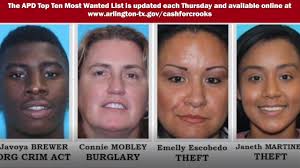 Arlington man shot and killed