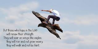 Image result for Soar Like An Eagle!