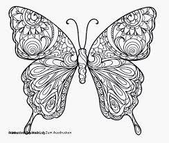 Schmetterling Malen Vorlage 30 Schmetterling Malbuch Zum