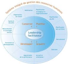 Systeme Integre De Gestion Des Ressources Humaines Gestion Des Ressources Humaines Ressources Humaines Management De Projet