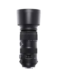 Find the perfect camera or lens. Sigma 60 600mm F 4 5 6 3 Dg Os Hsm Sports Lens For Nikon F For Nikon F Mount Accessories International Model Buy Online In Bangladesh At Bangladesh Desertcart Com Productid 102342378