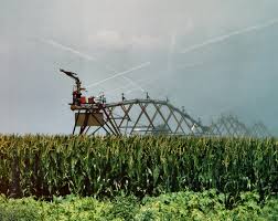 We did not find results for: How Center Pivot Irrigation Helps My Family S Farm Minnesota Corn Growers Association