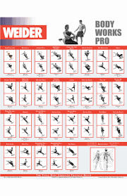 weider home exercise online charts collection