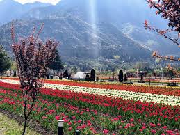 This travel guide covers jammu and kashmir tourism. 350 Jammu And Kashmir Pictures Hq Download Free Images On Unsplash