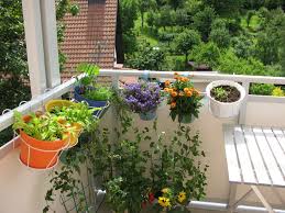 Unsere ratgeber und bildbände rund um den grünen daumen lassen kreativität und knowhow auf fruchtbaren boden fallen. Garten Anlegen Auf Balkon 10 Ideen Furs Gartnern
