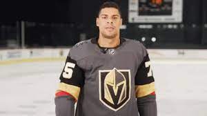 Vegas golden knights team photo at lake tahoe. Vegas Golden Knights Ryan Reaves Gif Vegasgoldenknights Ryanreaves Pointing Discover Share Gifs