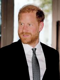 𝐀𝐫𝐜𝐡𝐢𝐞 𝐇𝐚𝐫𝐫𝐢𝐬𝐨𝐧 (@archieharrison.mountbatten) • Instagram  photos and videos