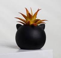 OEM Halloween Mini Succulenten Plantenbakken met Kunstmatige ...