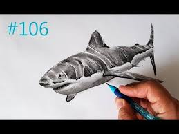 Karakalem Kopek Baligi Cizimi Basit Ve Gercekci Shark Drawing 106 Youtube
