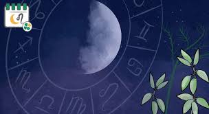 Mondkalender Mondkalender Kalender Gartenkalender