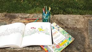 Download Why The Latest Coloring Book Craze Can Be Good For You