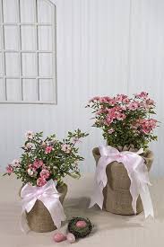Traditionally, pink and white are the colors associated with sympathy. Pet Sympathy Memorial Gifts